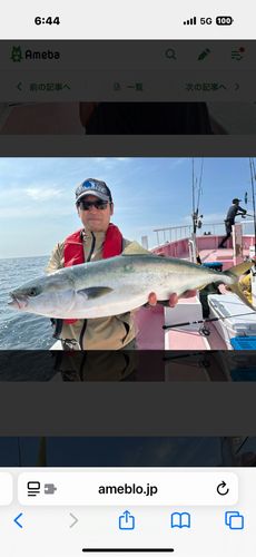 ワラサの釣果