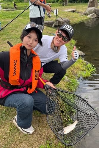 ニジマスの釣果