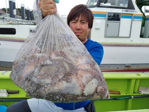 マダコの釣果