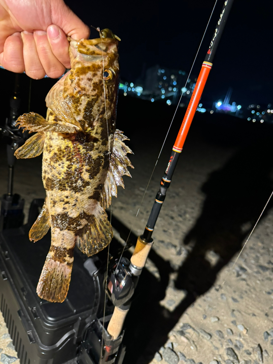 新作限定】1円〜 タケノコメバル フィギュア 魚寸30cm （世界