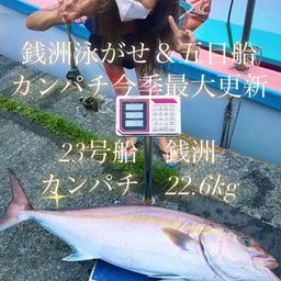 カンパチ
