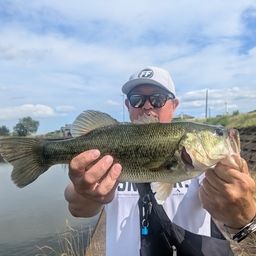 ラージマウスバス