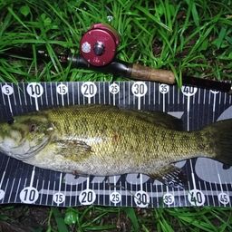 スモールマウスバス