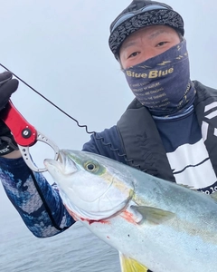 ヒラマサの釣果