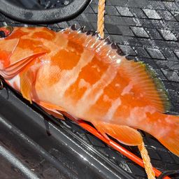 ハンゴーミーバイ