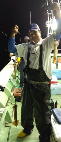 スルメイカの釣果