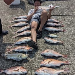 マダイ