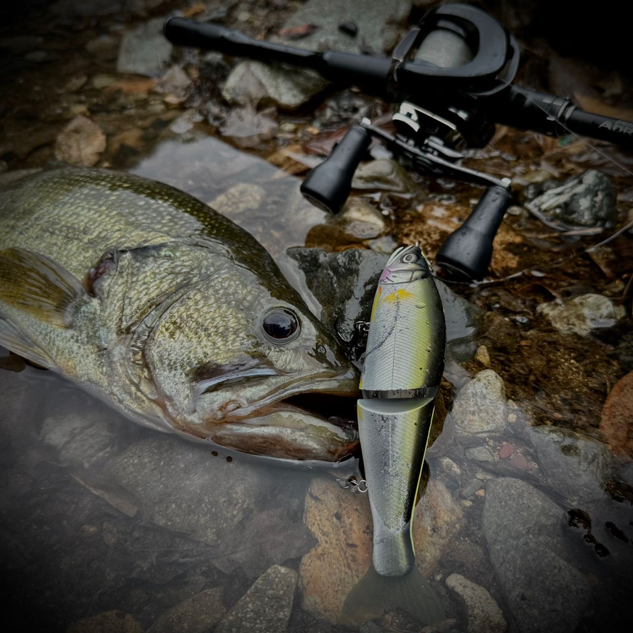 SHIMANO - ポイズンアドレナ 174H-LM ビックベイト シマノ SHIMANO ポイズンアドレナ ベイト 174H-LM バスロッド