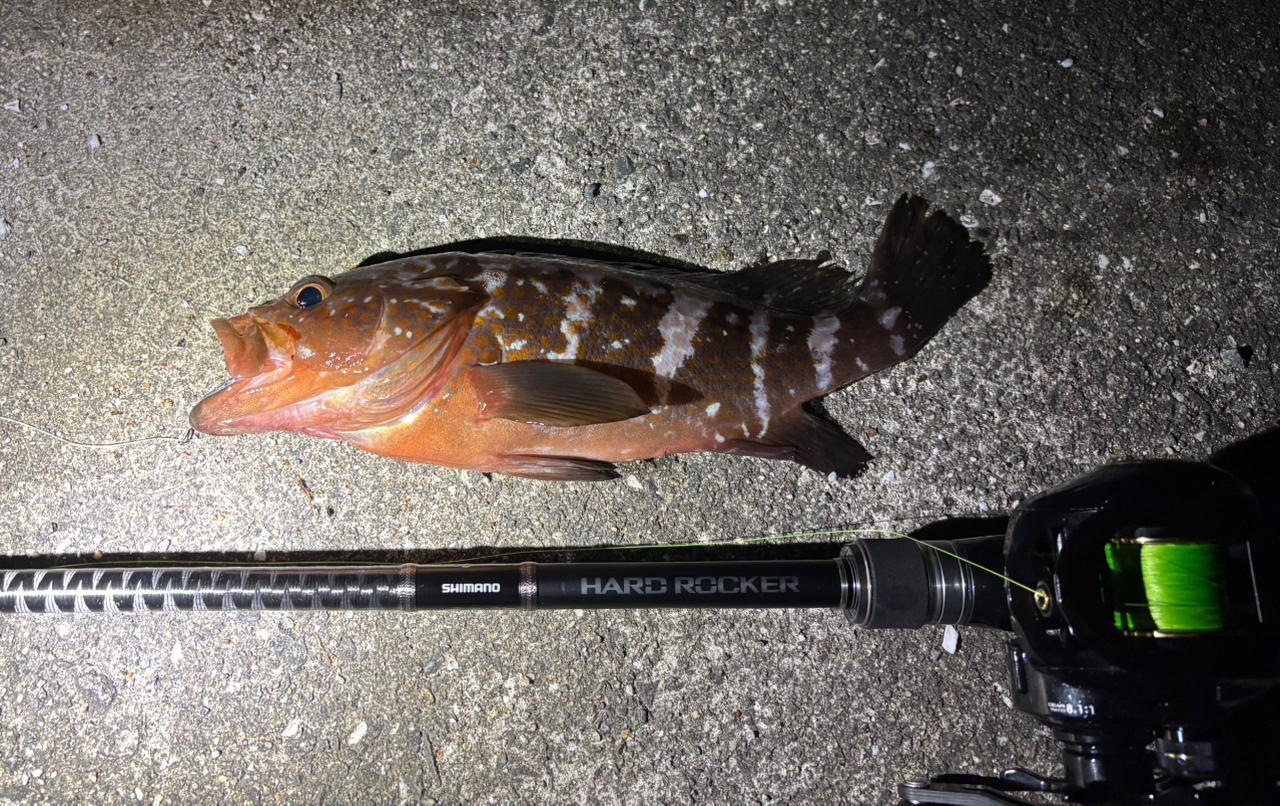 SHIMANO 18ハードロッカー B76Hの最安値・インプレ・釣果 | 本音