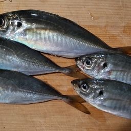 アジ