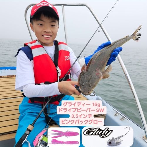 マゴチの釣果