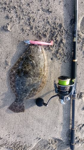 釣果