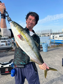 ブリの釣果