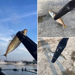 アジ