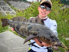 アイナメの釣果