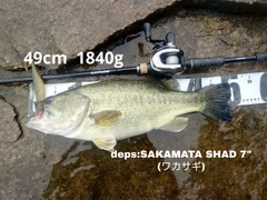 ブラックバスの釣果
