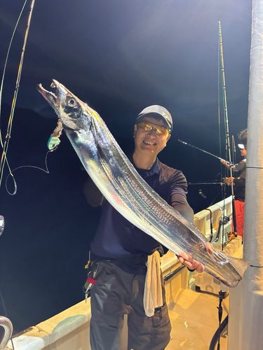 タチウオの釣果