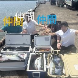 ヒラマサ