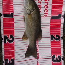 スモールマウスバス