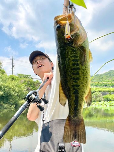 ブラックバスの釣果
