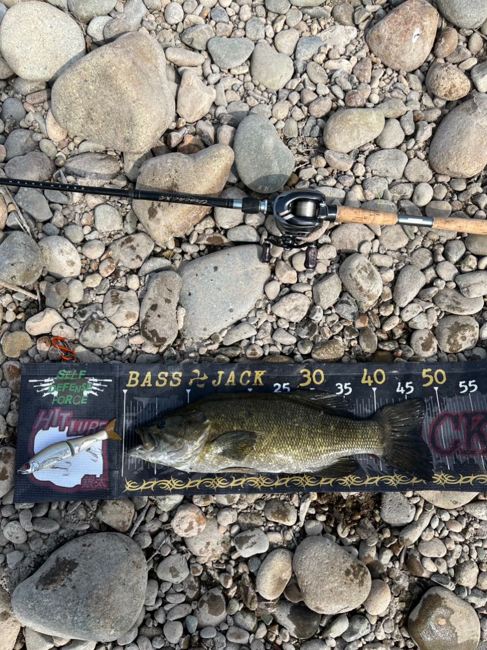 スモールマウスバス