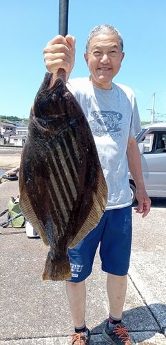 ヒラメの釣果