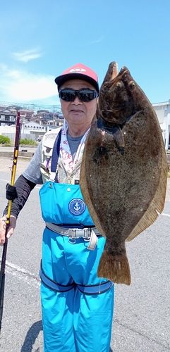 ヒラメの釣果