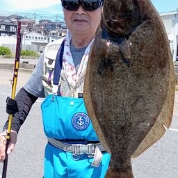 ヒラメ