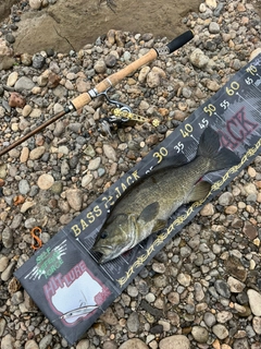 スモールマウスバスの釣果