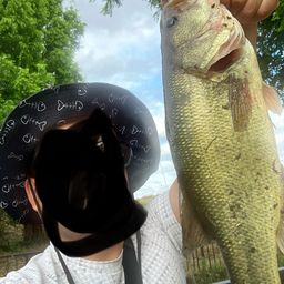 ブラックバス