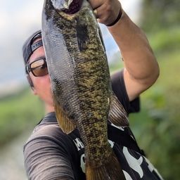 スモールマウスバス