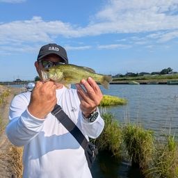 ラージマウスバス