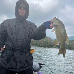 スモールマウスバス