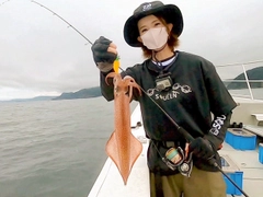 ケンサキイカの釣果