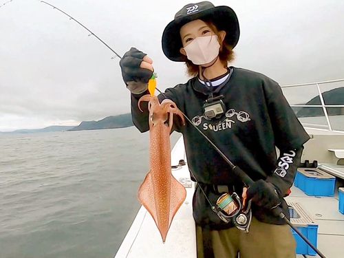 ケンサキイカの釣果
