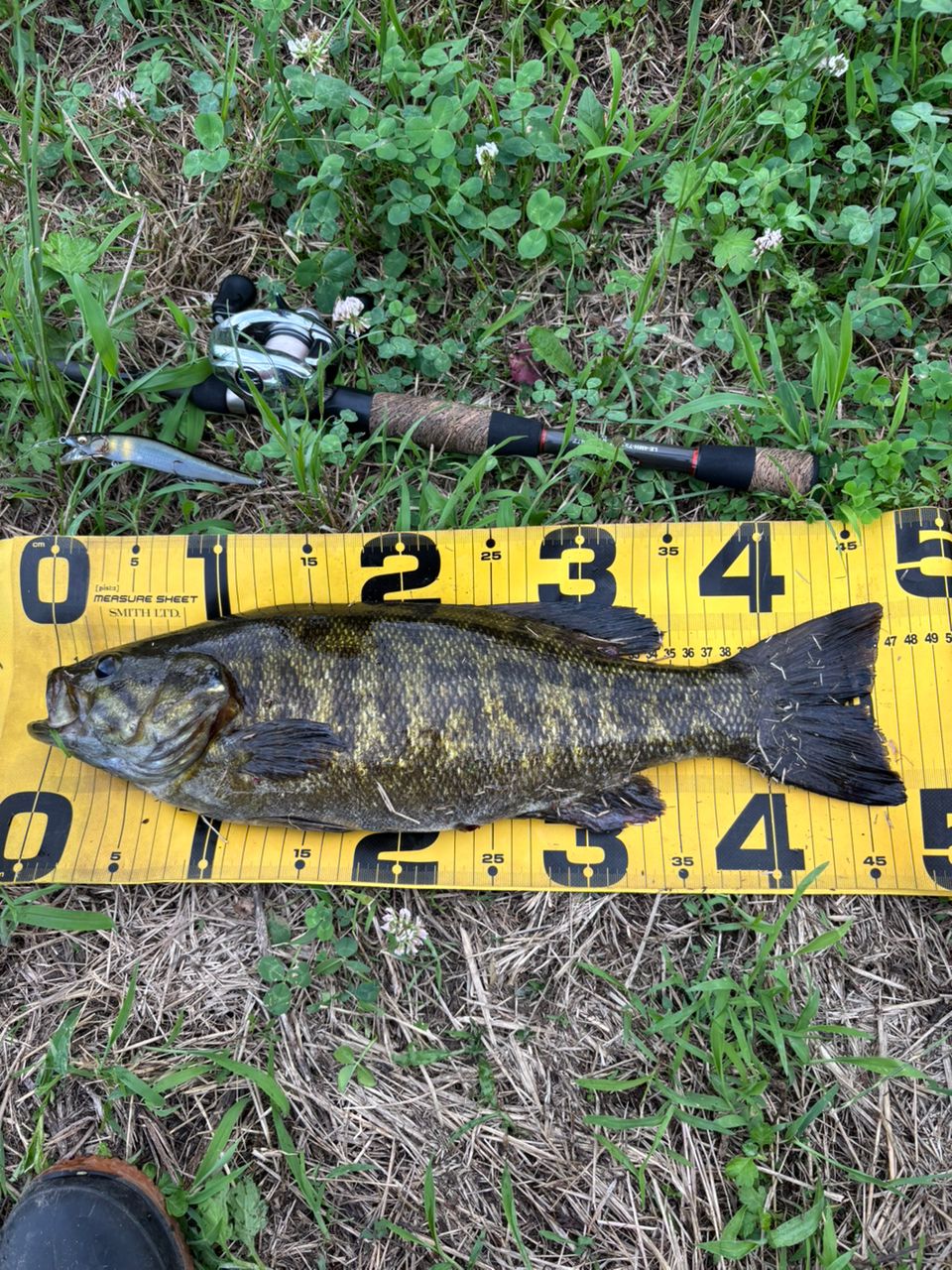 スモールマウスバス