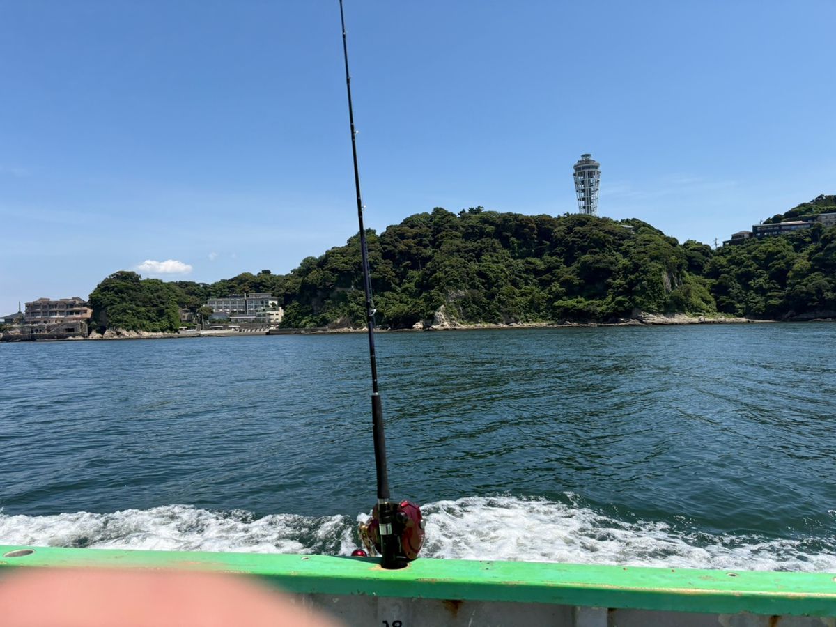 シーラインさんの釣果 3枚目の画像