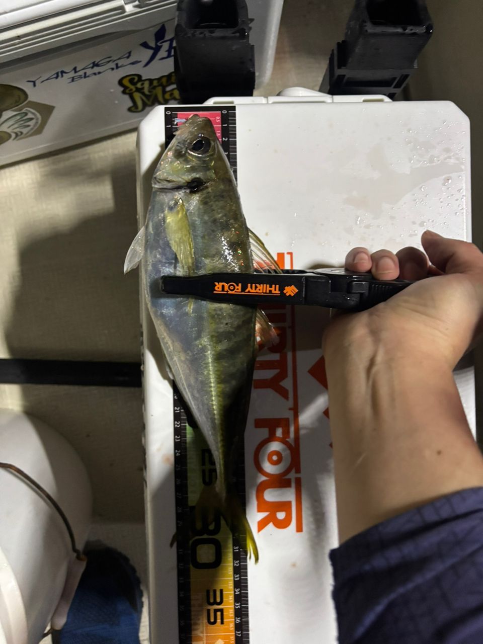 ♪hiro♪さんの釣果 2枚目の画像