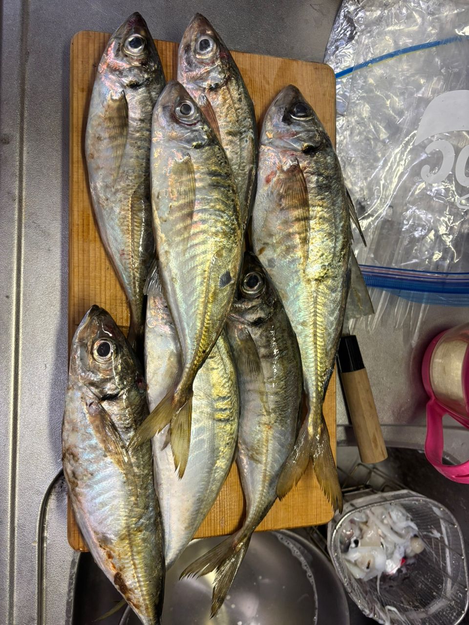 ♪hiro♪さんの釣果 3枚目の画像