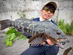 アイナメの釣果
