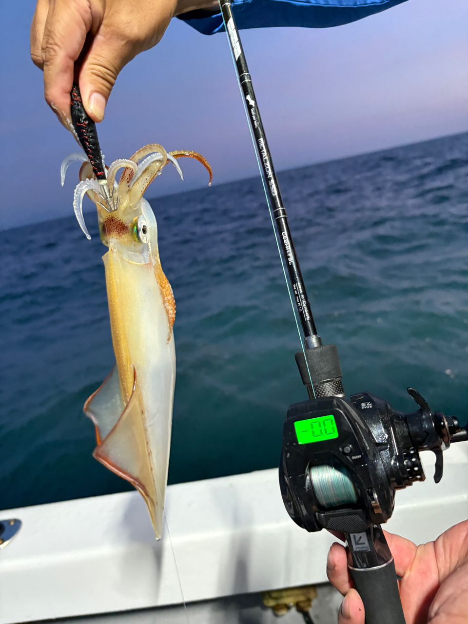 達喜丸さんの釣果 3枚目の画像