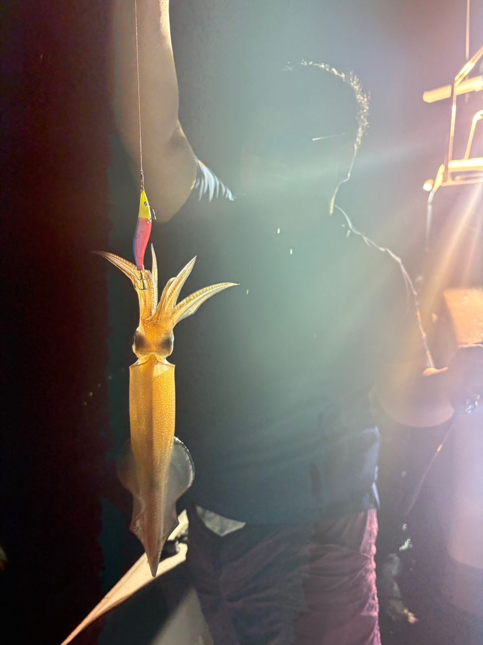 達喜丸さんの釣果 2枚目の画像