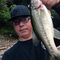 ブラックバス