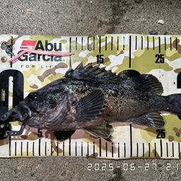 クロソイ