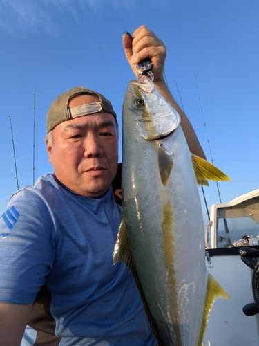 ヒラマサの釣果