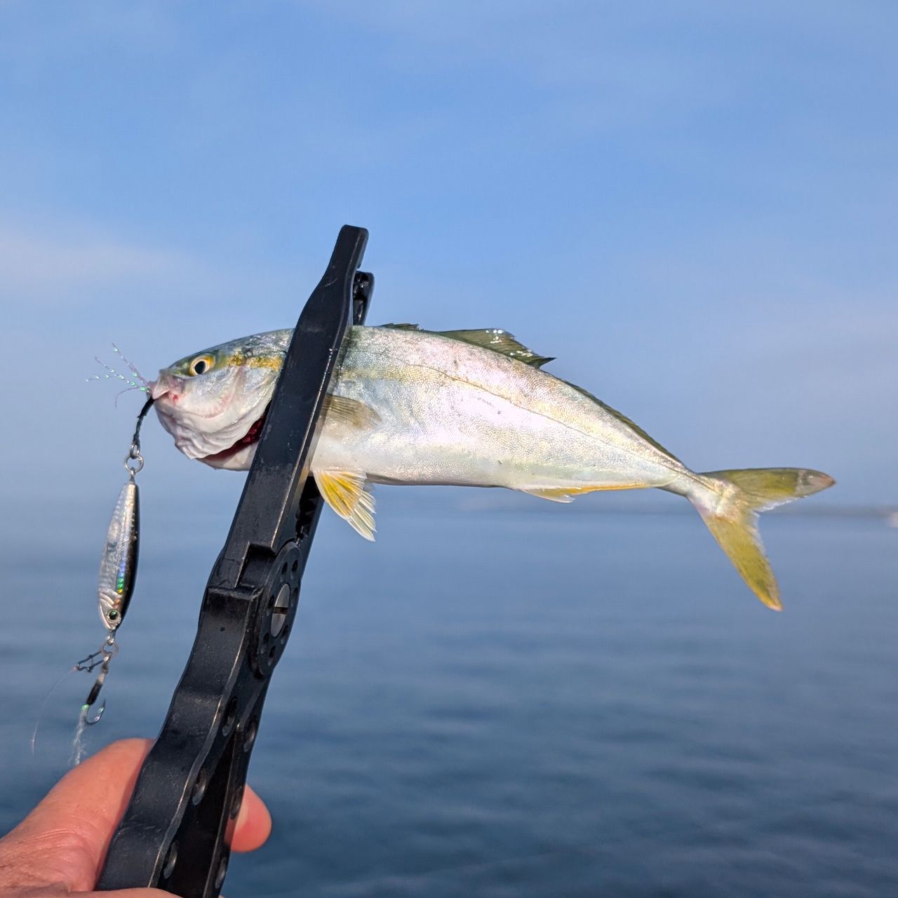 【アキカン❗️】SHIMANO 19 ソアレBB アジング S74L-S DAIWA（釣り） シマノ 19 ソアレBB アジング S74L-S : つり具の