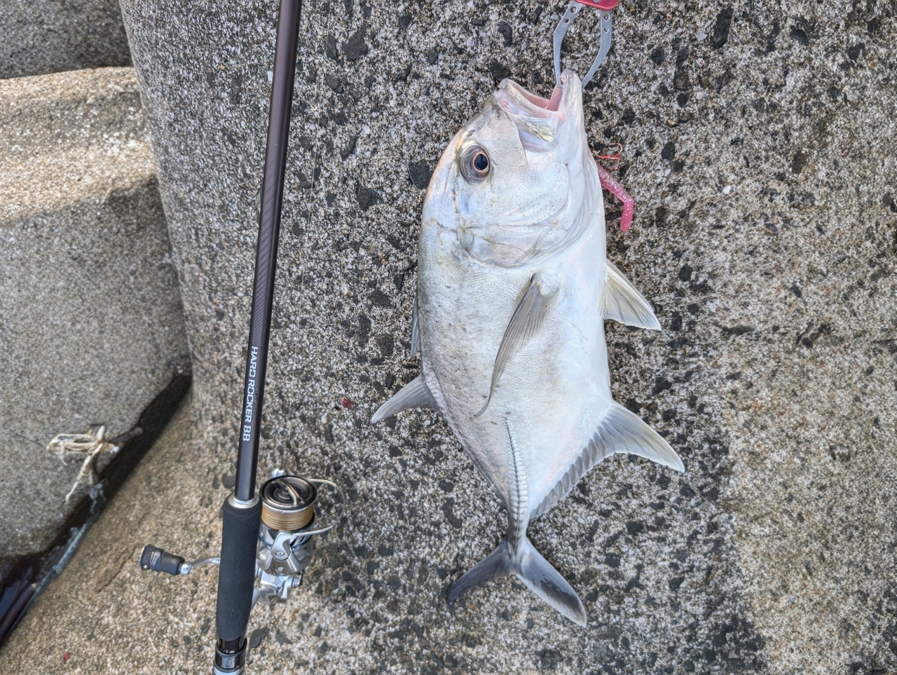 SHIMANO 19ハードロッカー BB S83ML+の最安値・インプレ・釣果