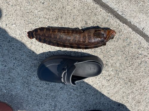 釣果