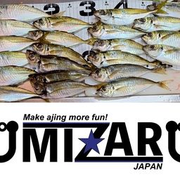 アジ