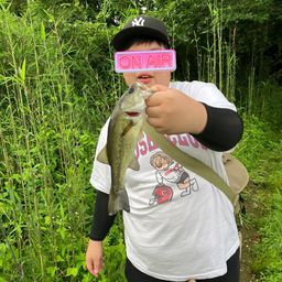 ブラックバス